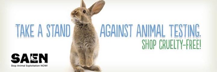 SAENonline's profile banner image