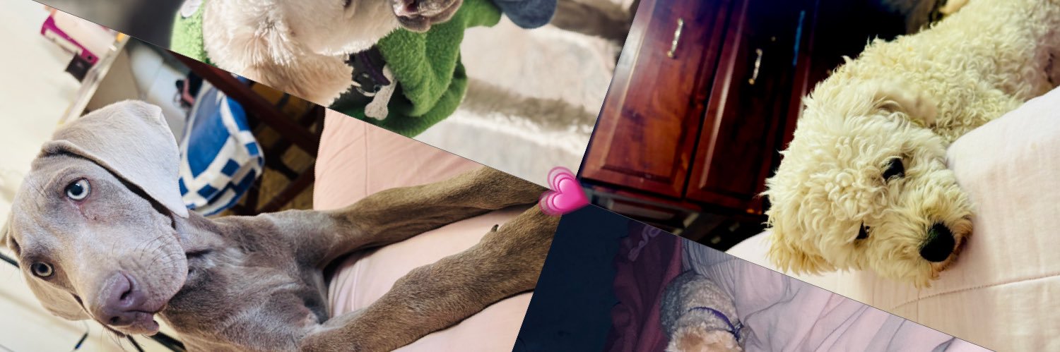 Ruizzisabella's profile banner image