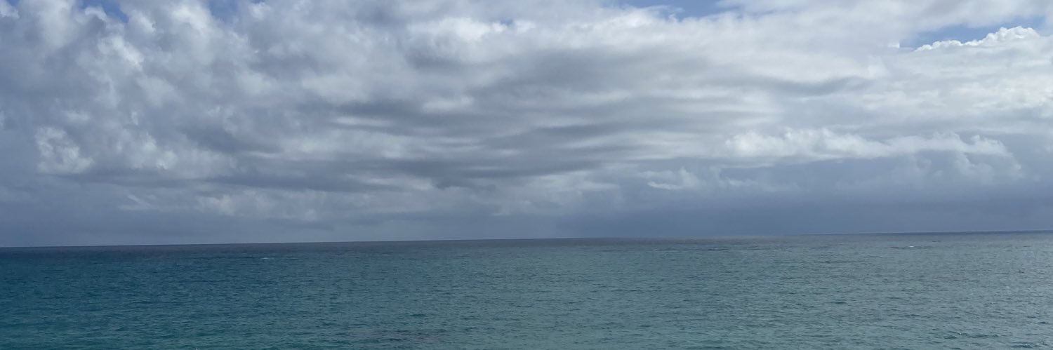 gustavozerch's profile banner image