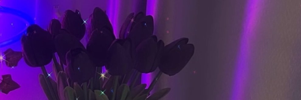 Love Snow banner