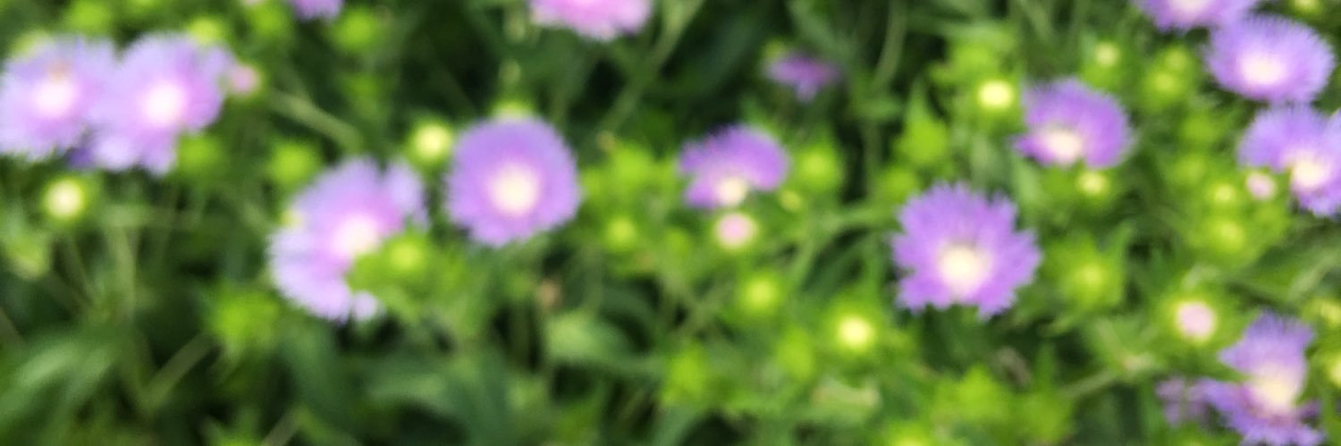 TooColdCath's profile banner image