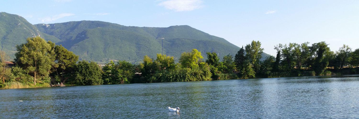 Pierfrancesco Izzo banner
