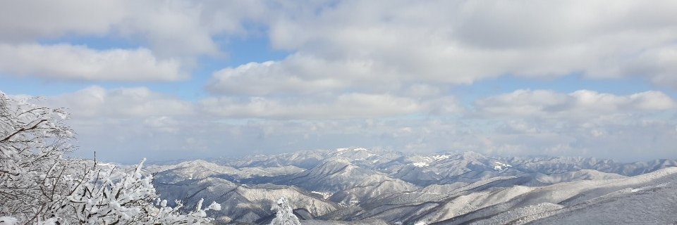 황병철 banner