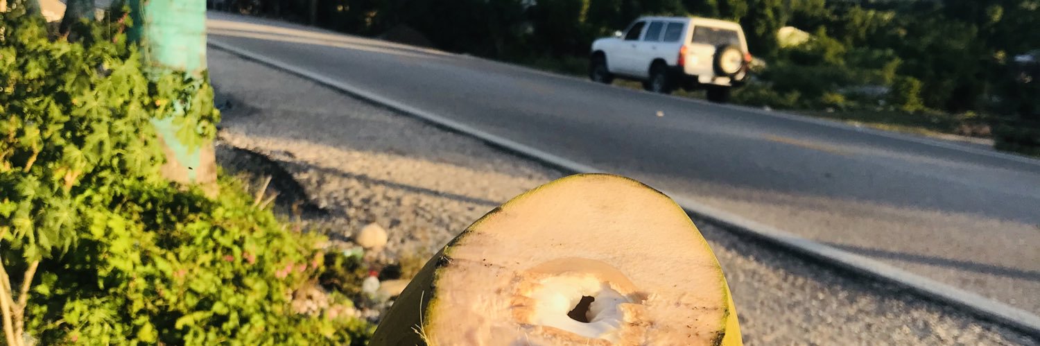 Junior ALEXIS banner