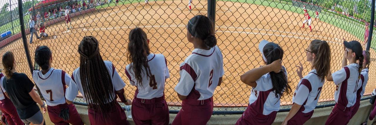 PB_Softball's profile banner image