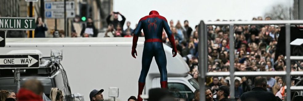 tasmspideyfan banner