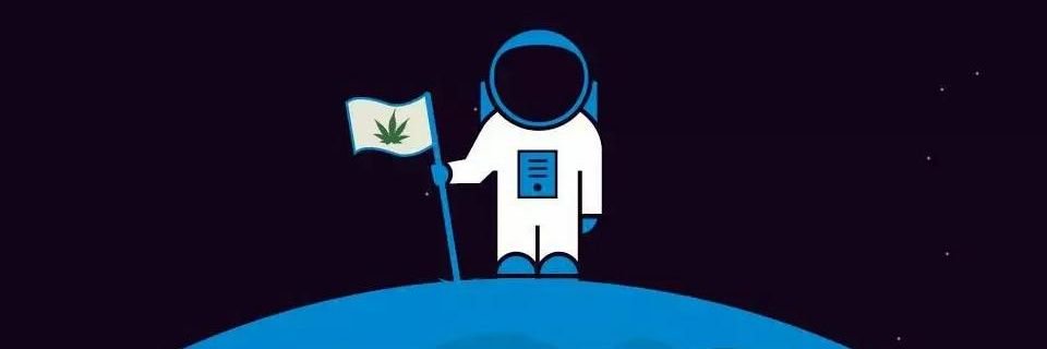 DontGovernment's profile banner image