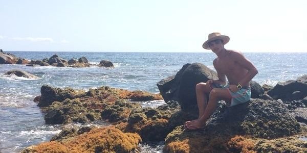 alesbraun96's profile banner image