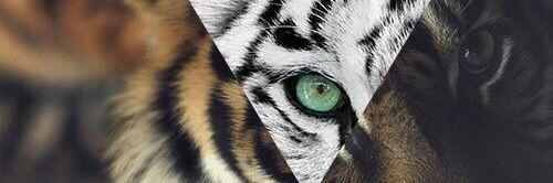 jameswarmin's profile banner image