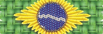 SUMÉ banner