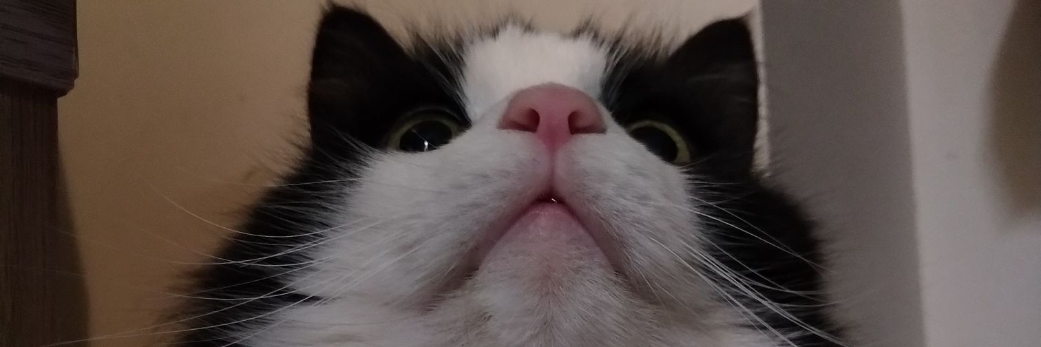 ZazzlesGS's profile banner image