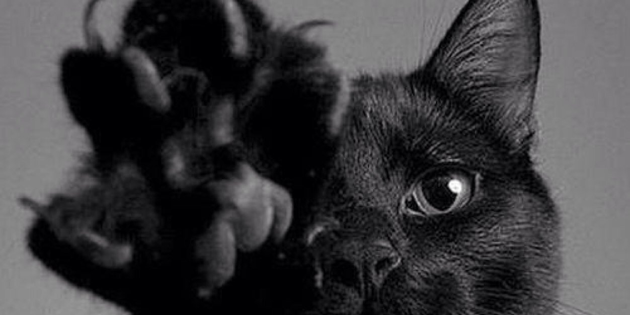 mugrosienta's profile banner image