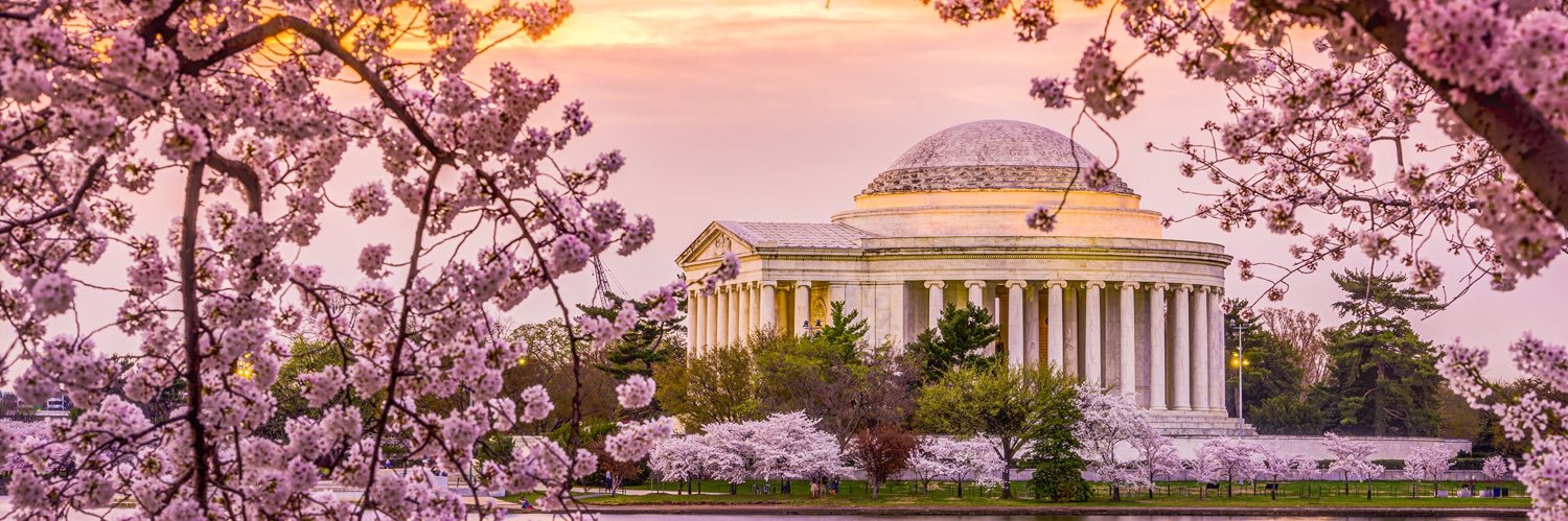 Brian L. Bello, MD, FACS, FASCRS banner