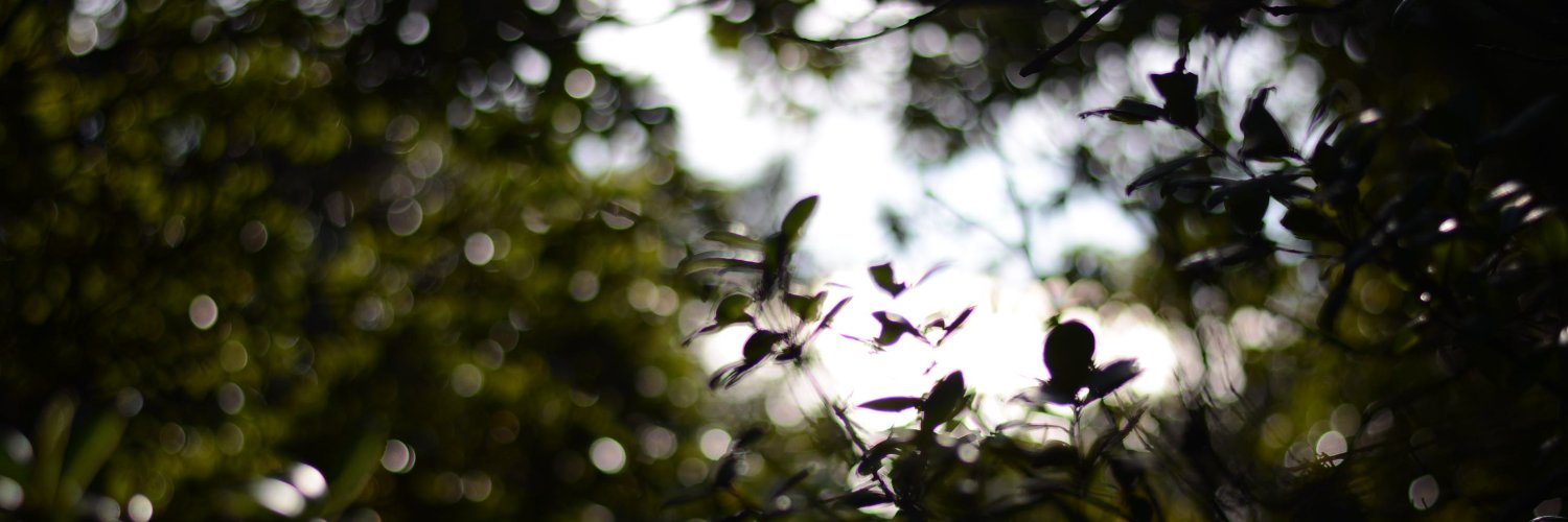 macaroni0825's profile banner image