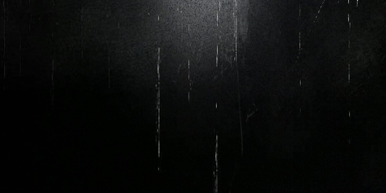 ssalmann20's profile banner image