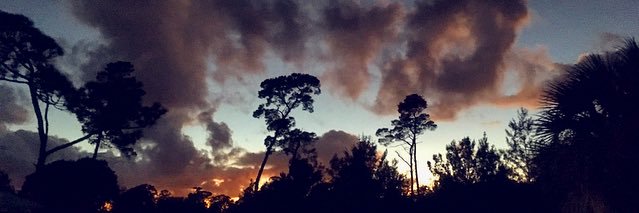 Rachel_Soudz's profile banner image