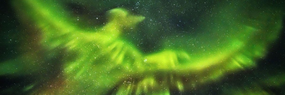 AlefRenault's profile banner image