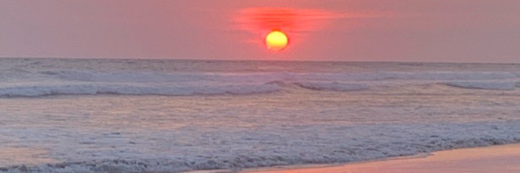 Monica Vargas C banner