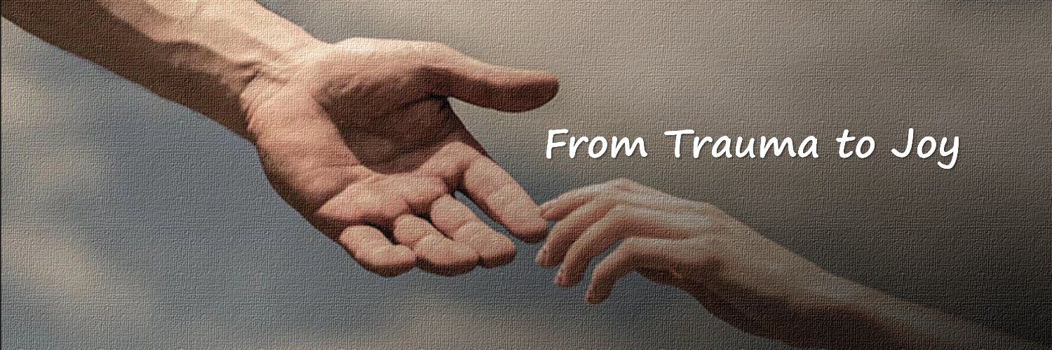 fromtraumatojoy's profile banner image