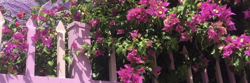 𝓚𝓪𝔂𝓒𝓮𝓮 banner