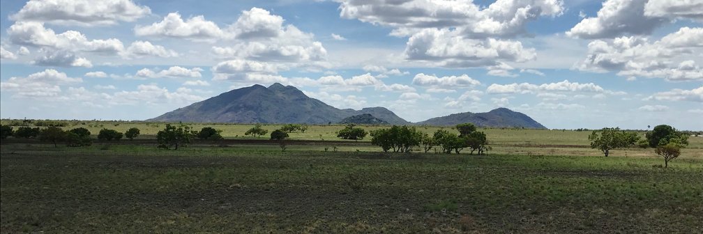 The Short Lab banner