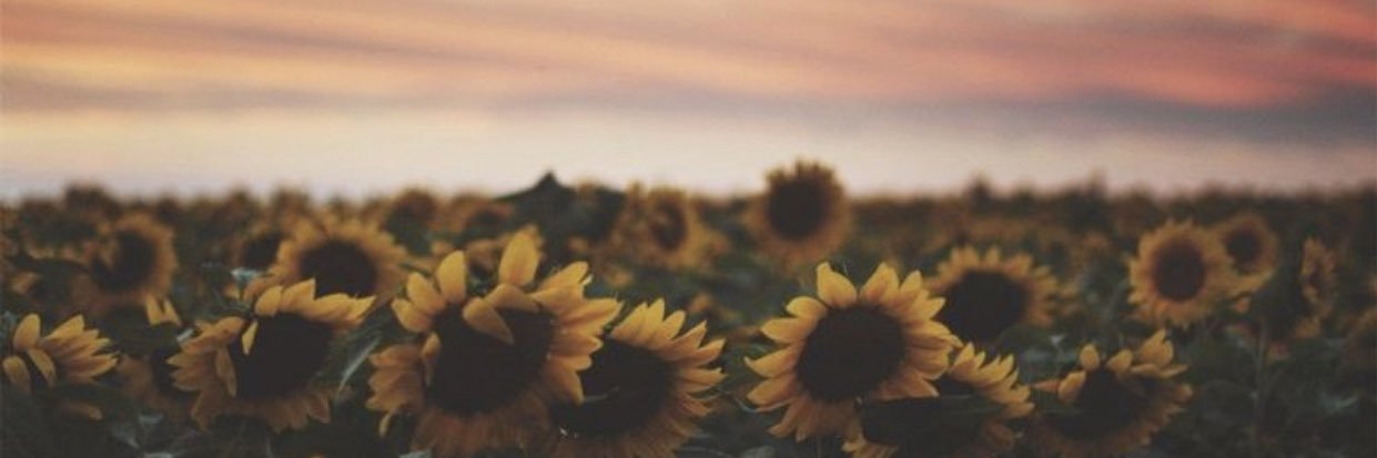 nichelllee's profile banner image