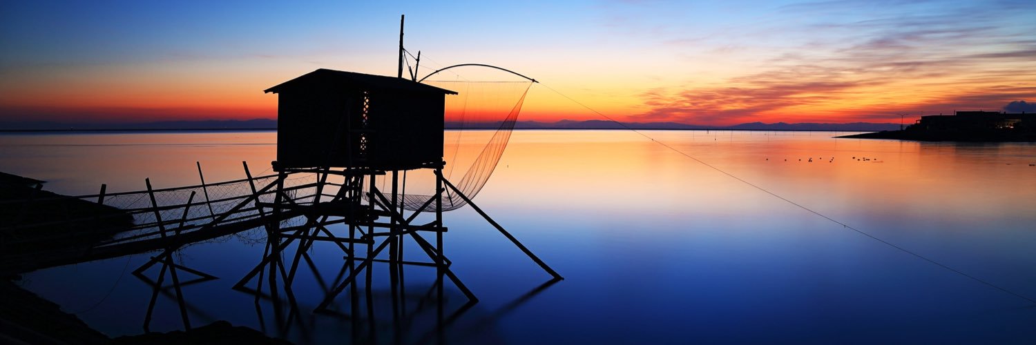 plain_tree's profile banner image