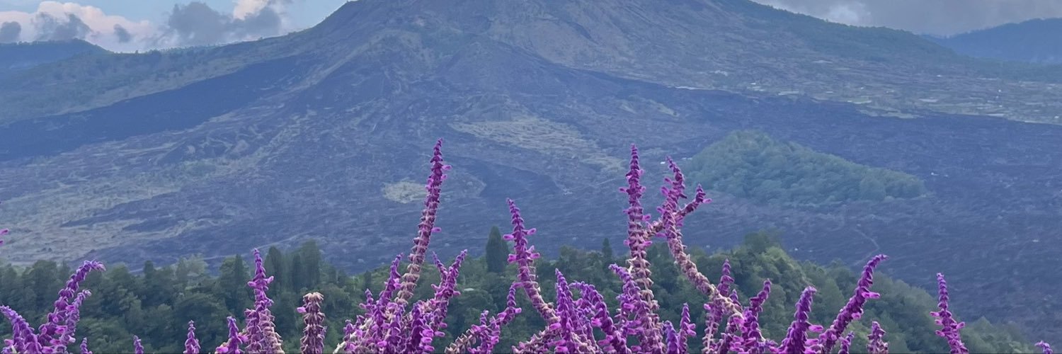 bluuletter's profile banner image