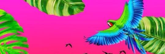 Grant D'Avino banner