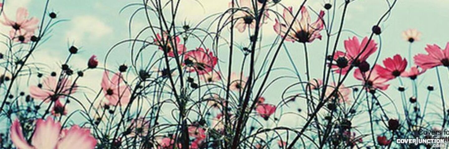 karisasheriff's profile banner image