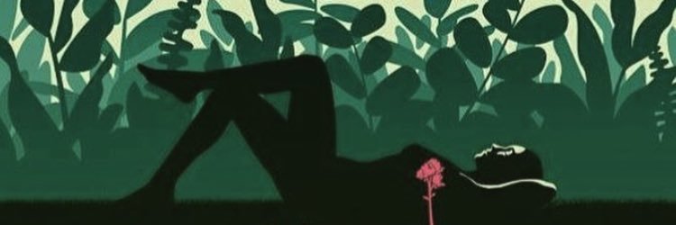 taylorheil1's profile banner image