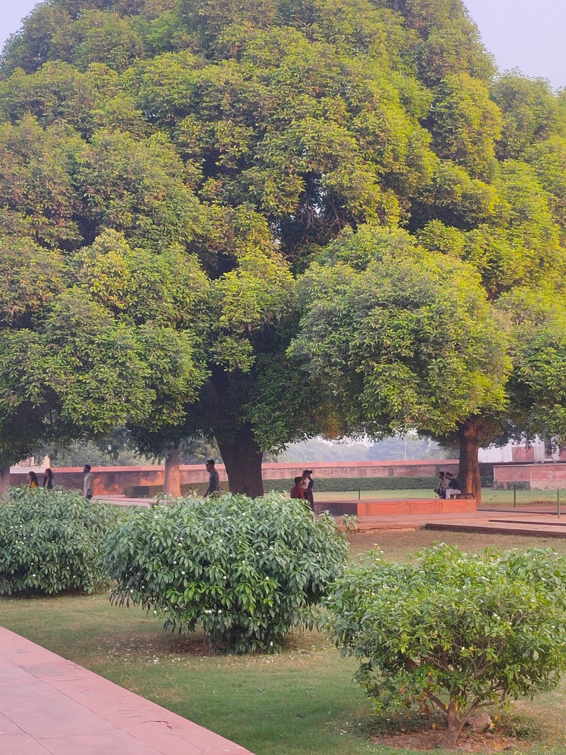 NetamNidhi's profile banner image