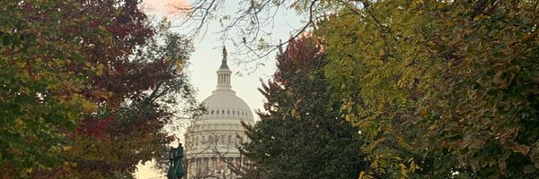 KathleenCurlee Profile Banner
