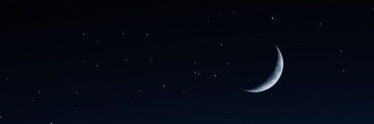 Araleyton23's profile banner image