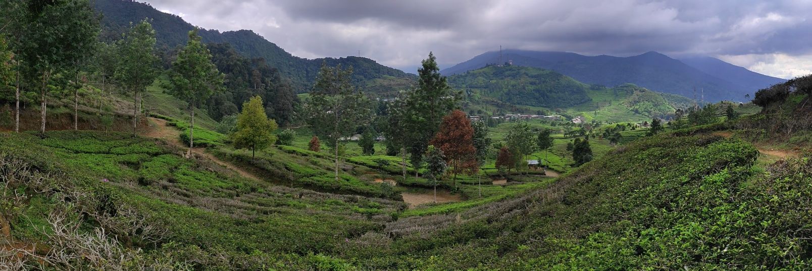 ¯\_(ツ)_/¯ banner