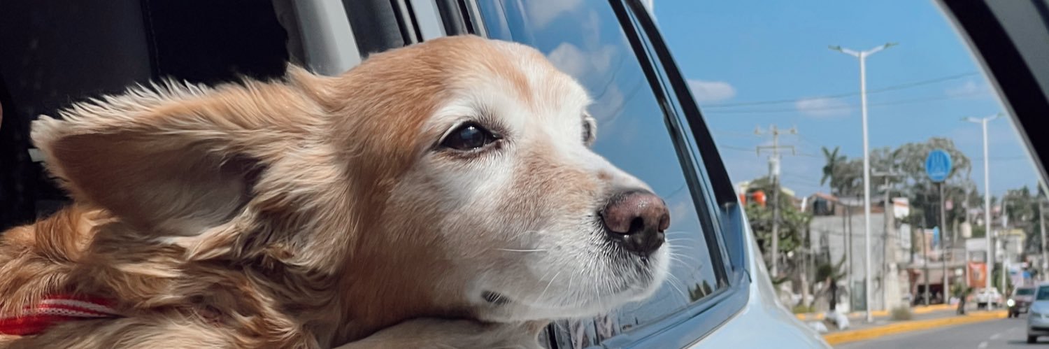 ClaudeBlen's profile banner image