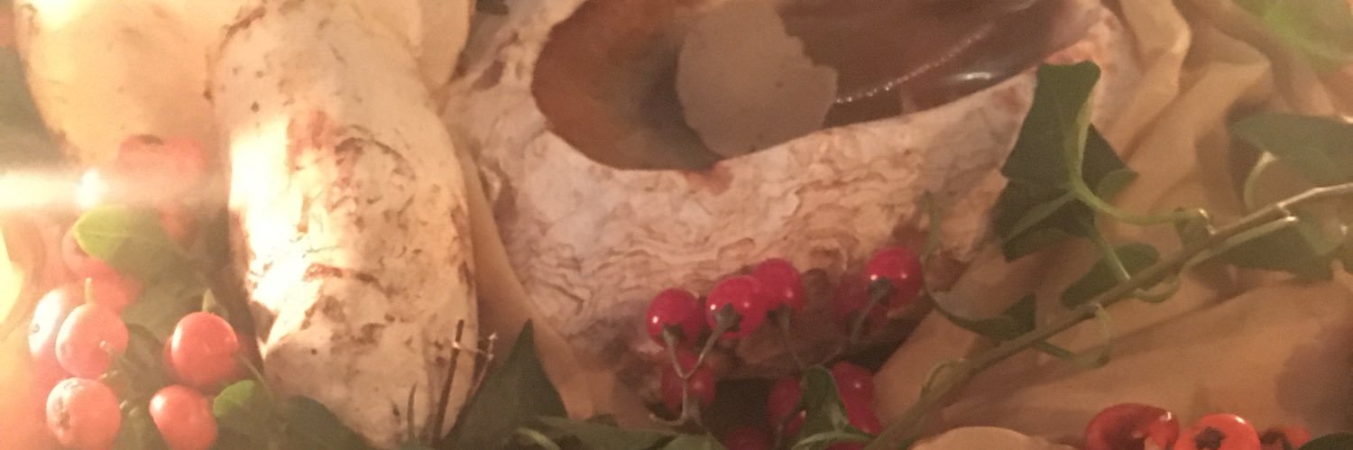 MutantCassidy's profile banner image