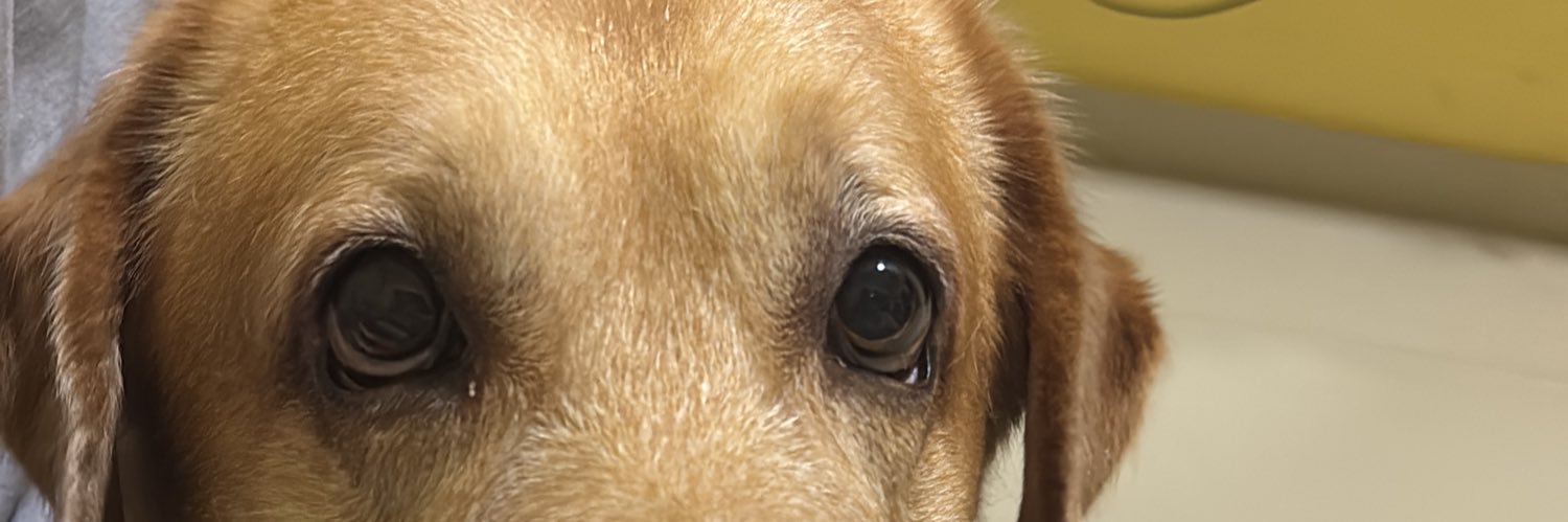 gabriel_lamar's profile banner image