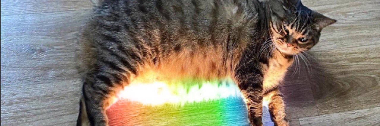 🌈𝙳𝚊𝚗𝚍𝚎𝚕𝚒𝚘𝚗 🦄 banner