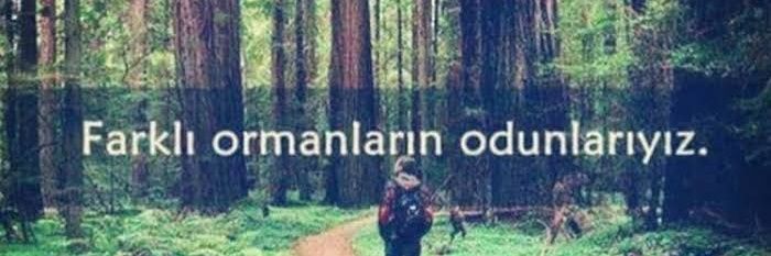 foresterman08's profile banner image