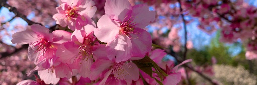 akimaro88's profile banner image