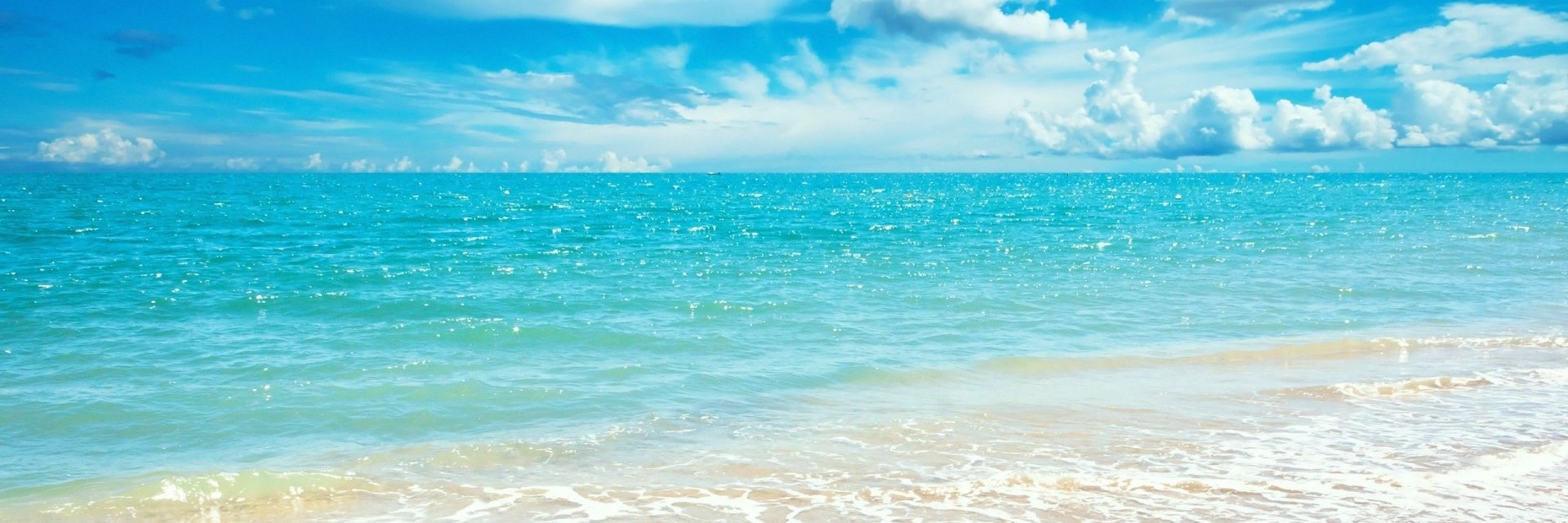 AndreaSNevins's profile banner image