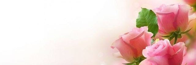 Ameliyass's profile banner image
