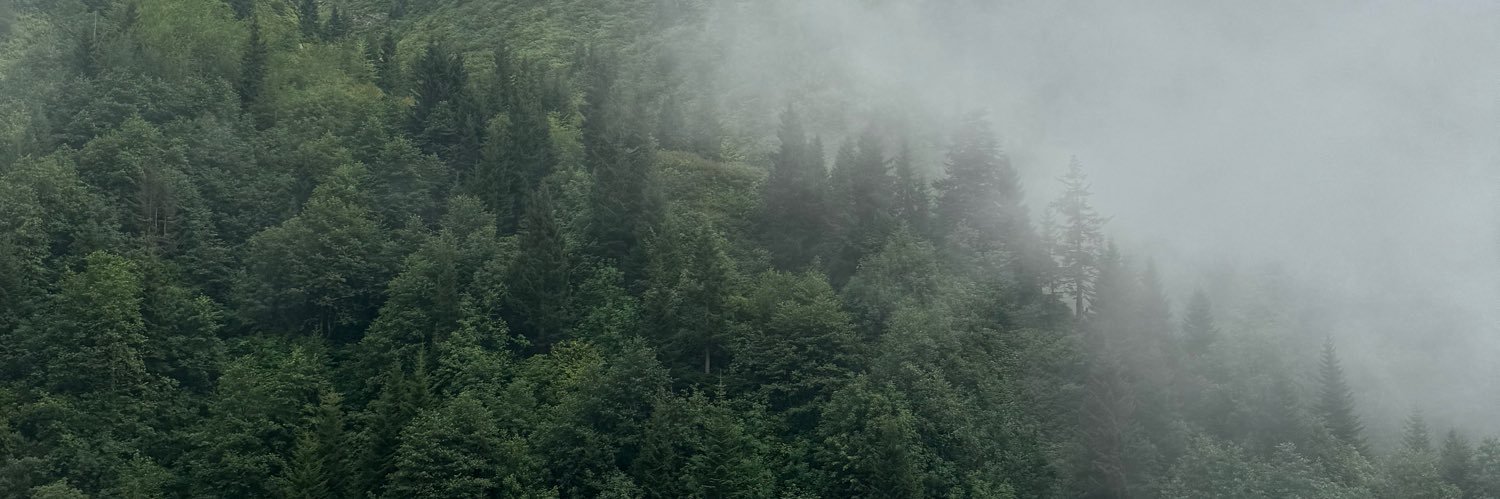 hndefnda's profile banner image