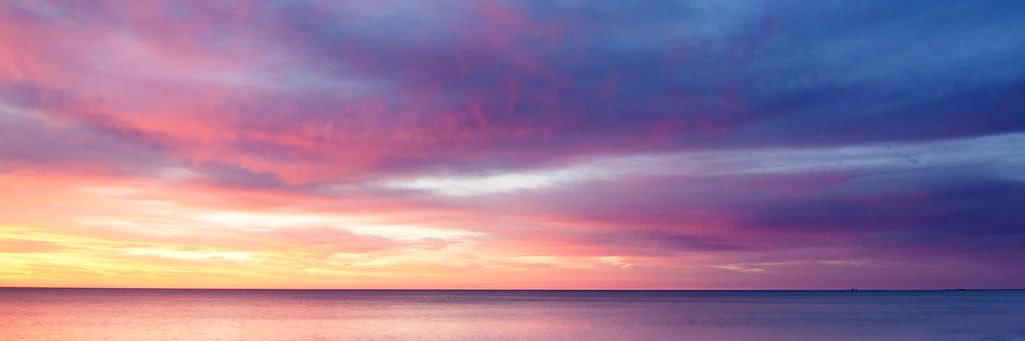 Tiigerlili's profile banner image
