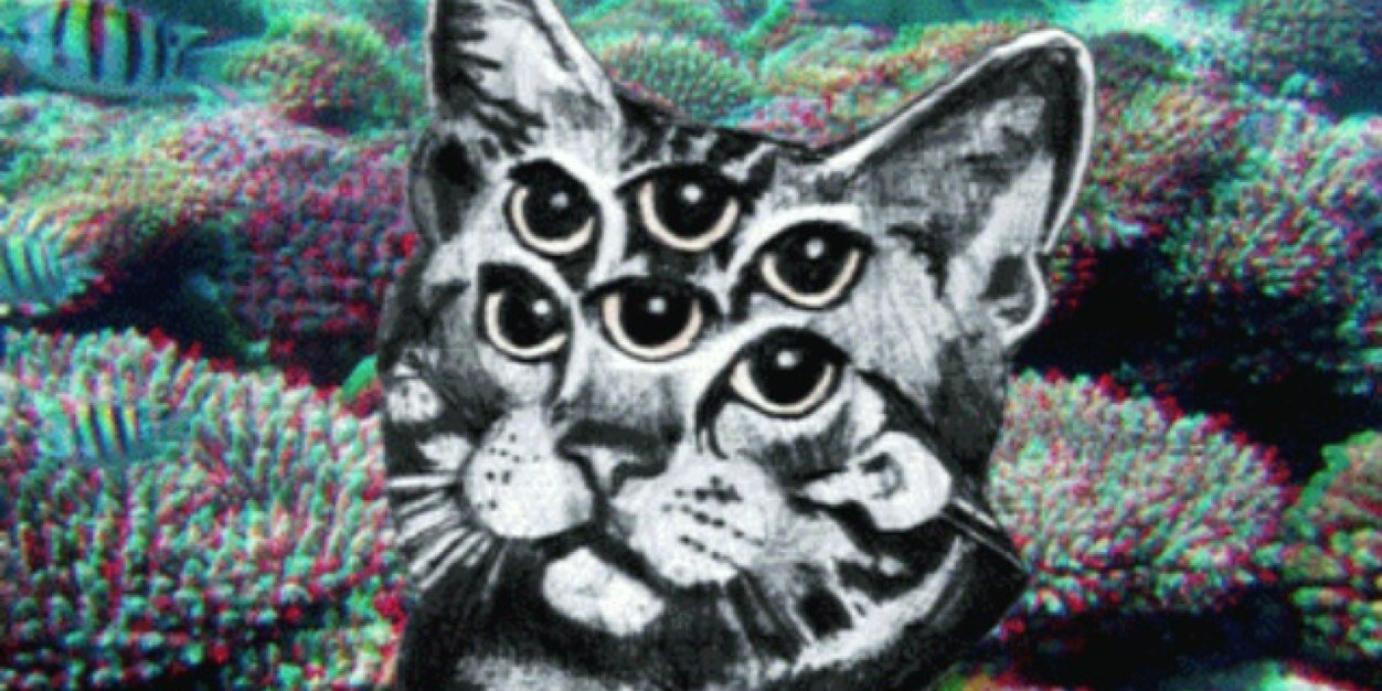 Cunningbro's profile banner image