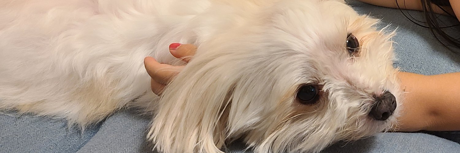 kimi0217's profile banner image