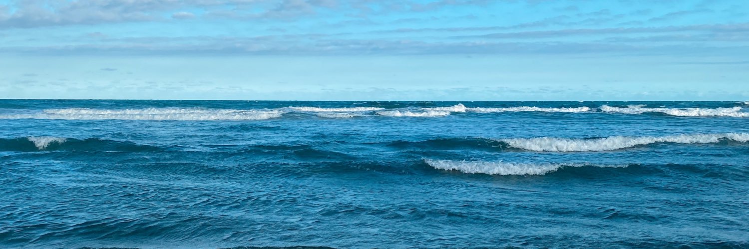 gabipelisoli_'s profile banner image