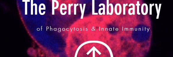 Justin Perry - Perry Lab's banner