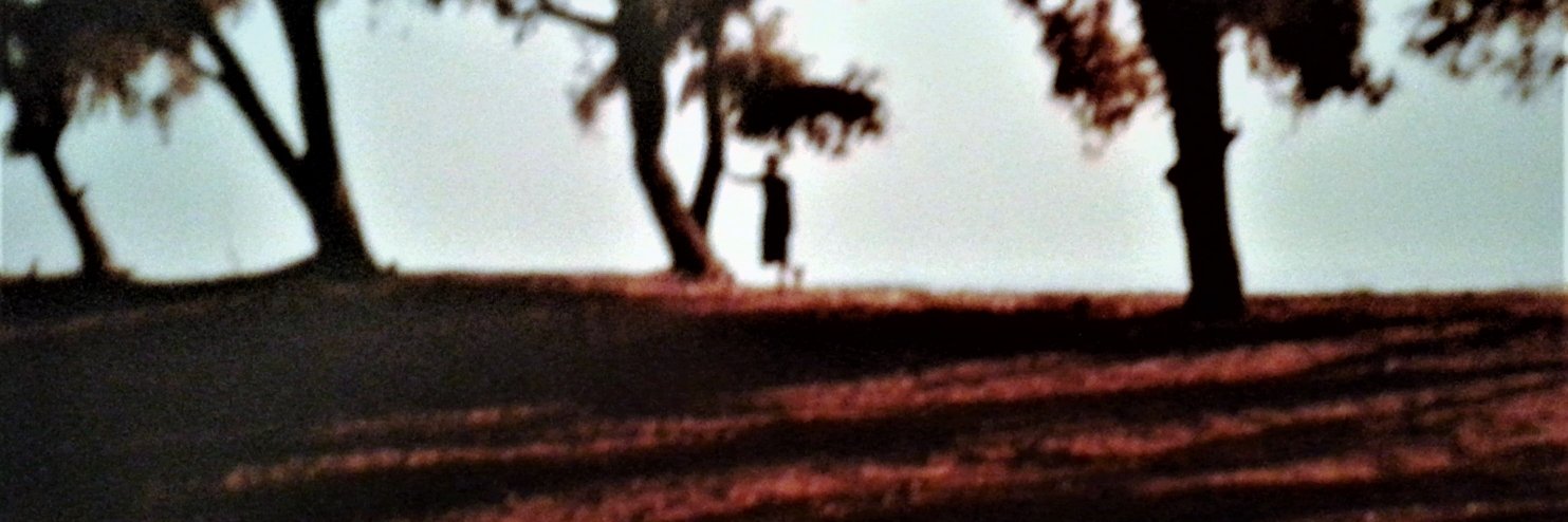 Jos Teunissen's banner